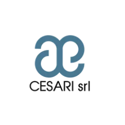 Cesari S.r.l.